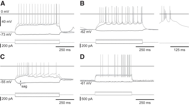 Fig. 7.