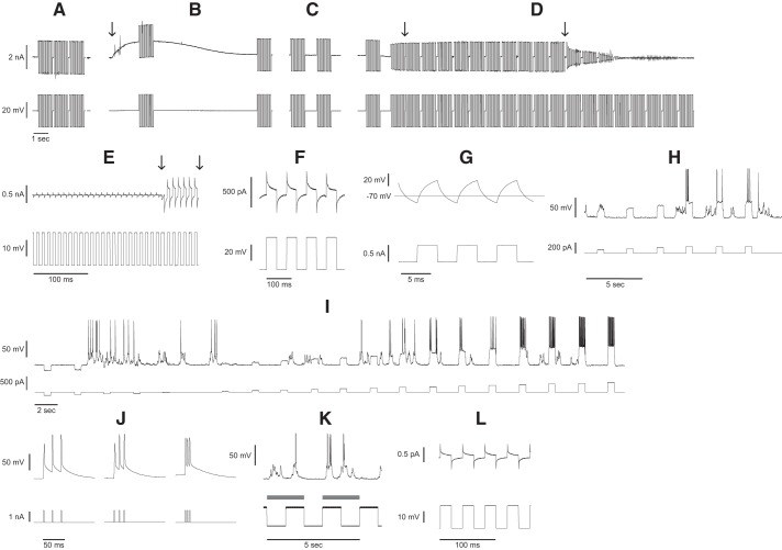 Fig. 3.