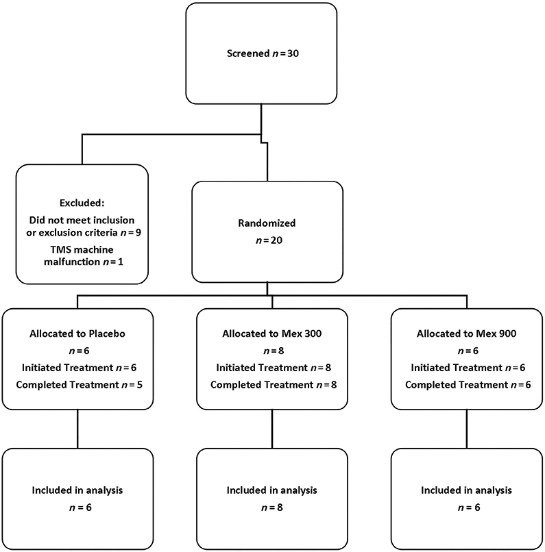 FIGURE 1