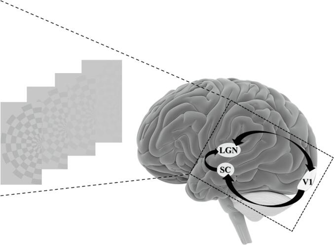 Fig. 1