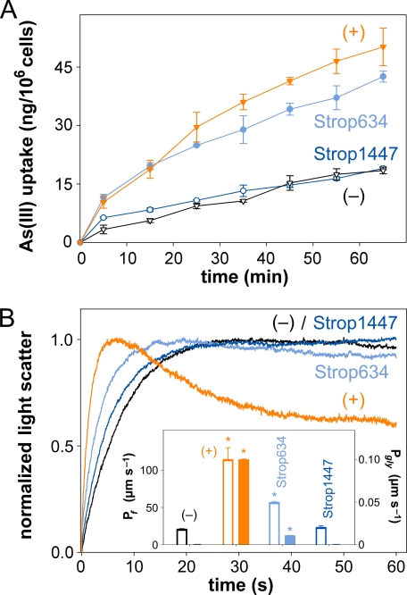 FIGURE 3.