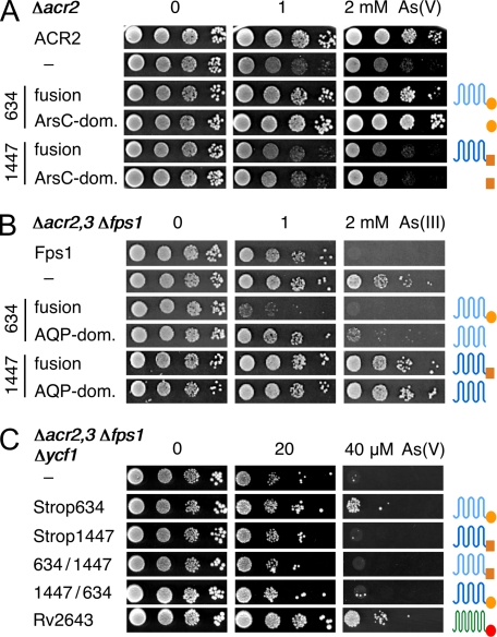 FIGURE 2.