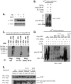 Fig 5