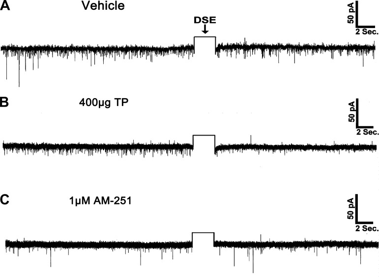 Fig. 10.