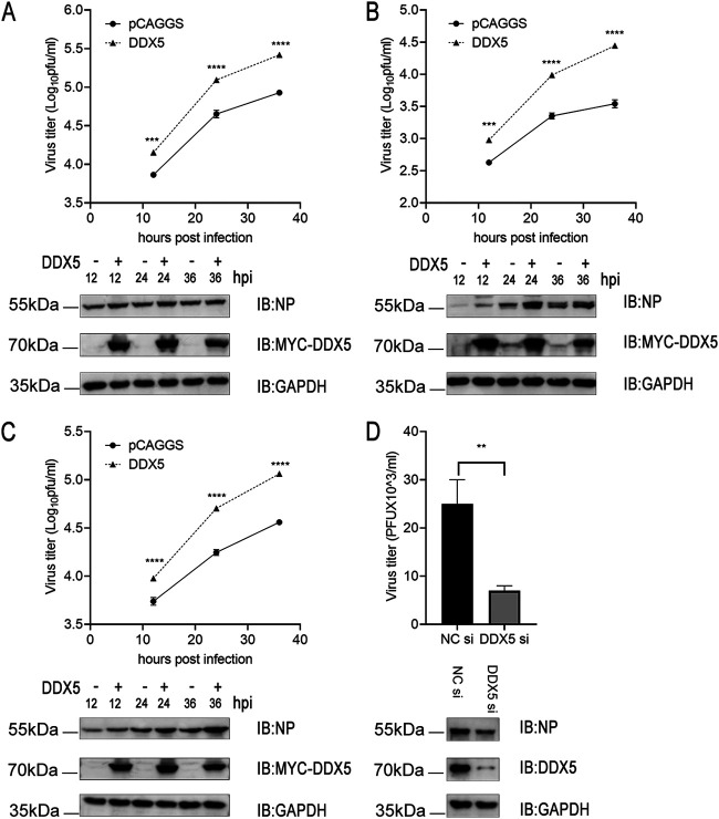 FIG 2