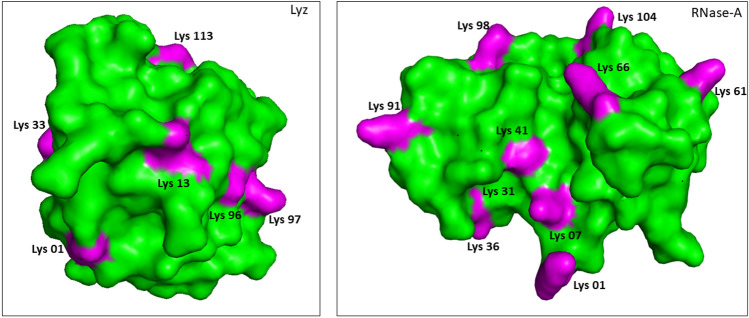 Figure 6: