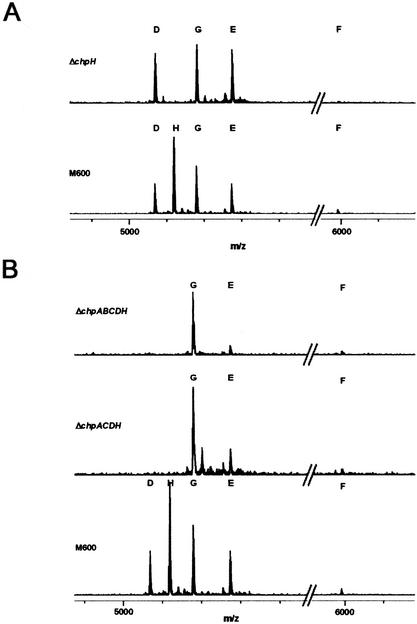 Figure 7.