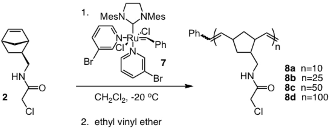 Scheme 2