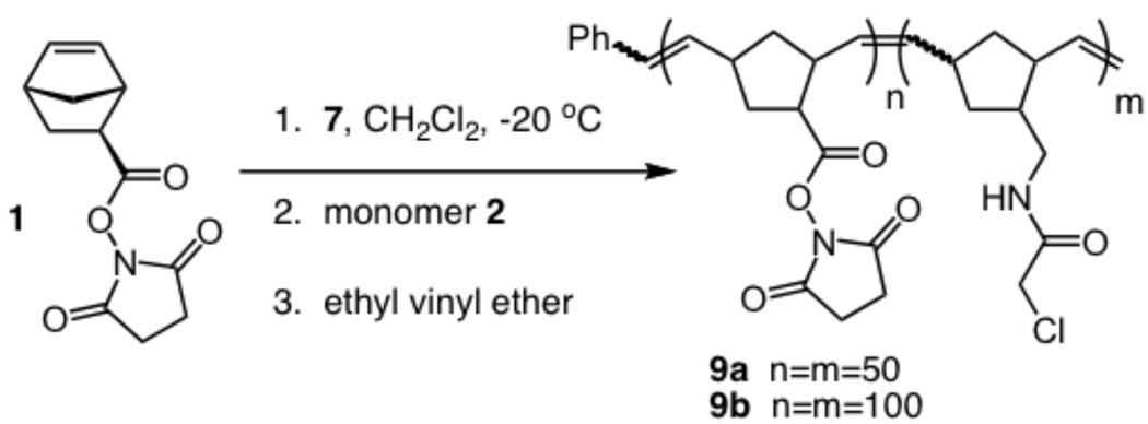 Scheme 3