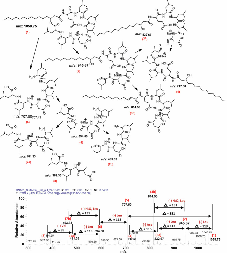 Figure 9