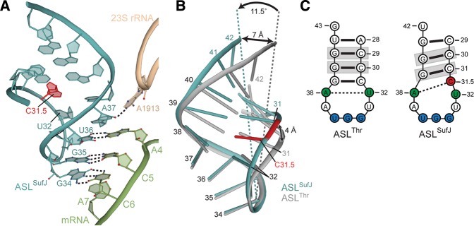 FIGURE 4.