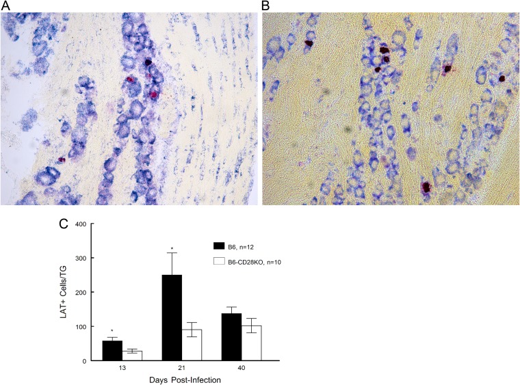 FIG 6