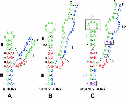 FIGURE 1.