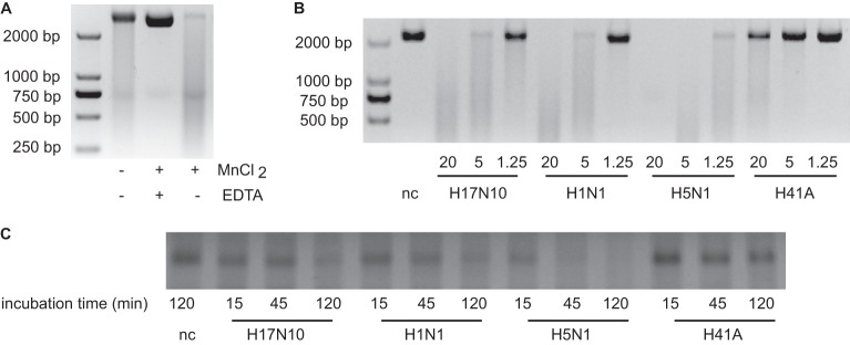 FIG 3