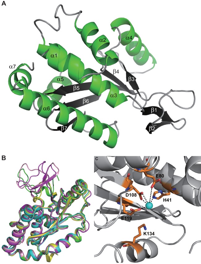 FIG 2