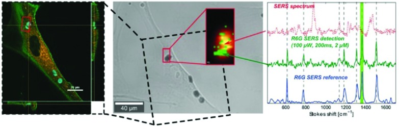 Fig. 9