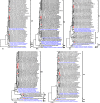 Fig 5