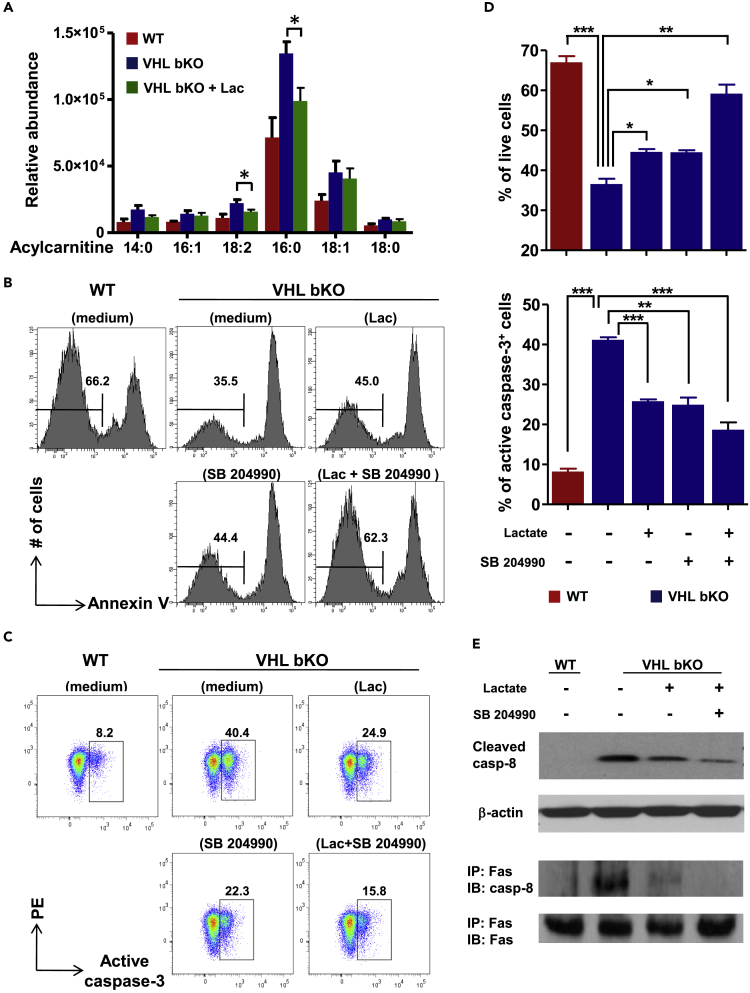 Figure 6