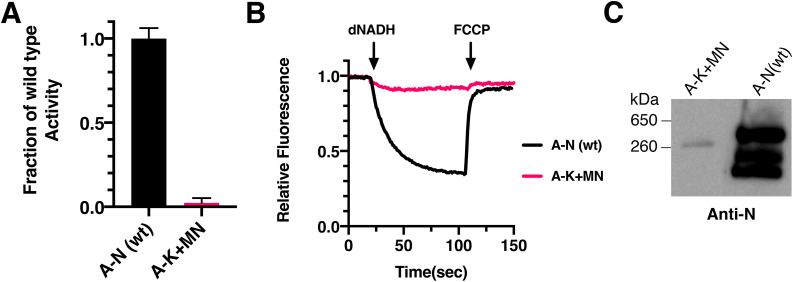 Fig. 9