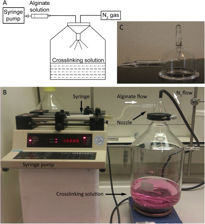 Fig 2