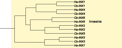 Fig. 10