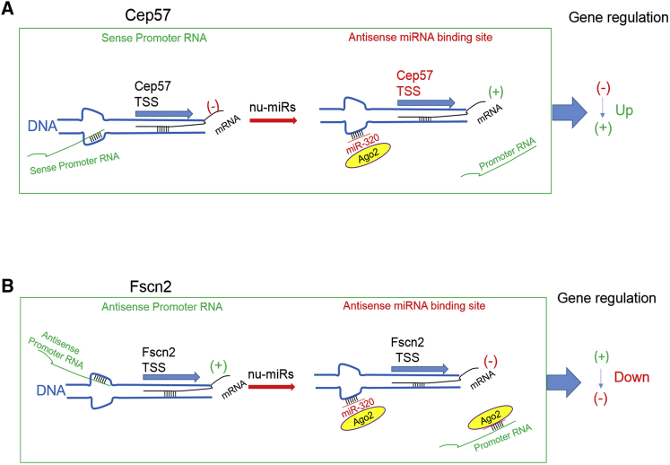 Figure 6