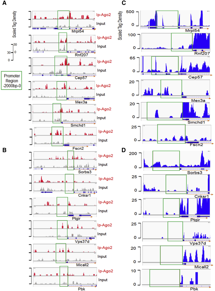 Figure 3