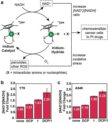 Figure 16