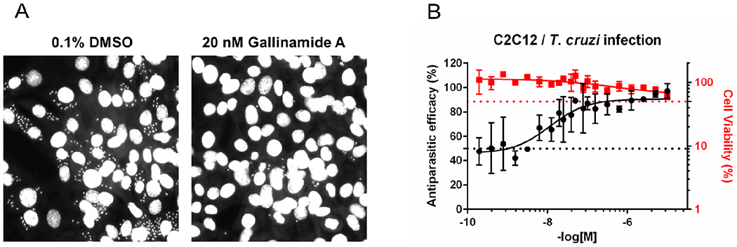 Figure 7: