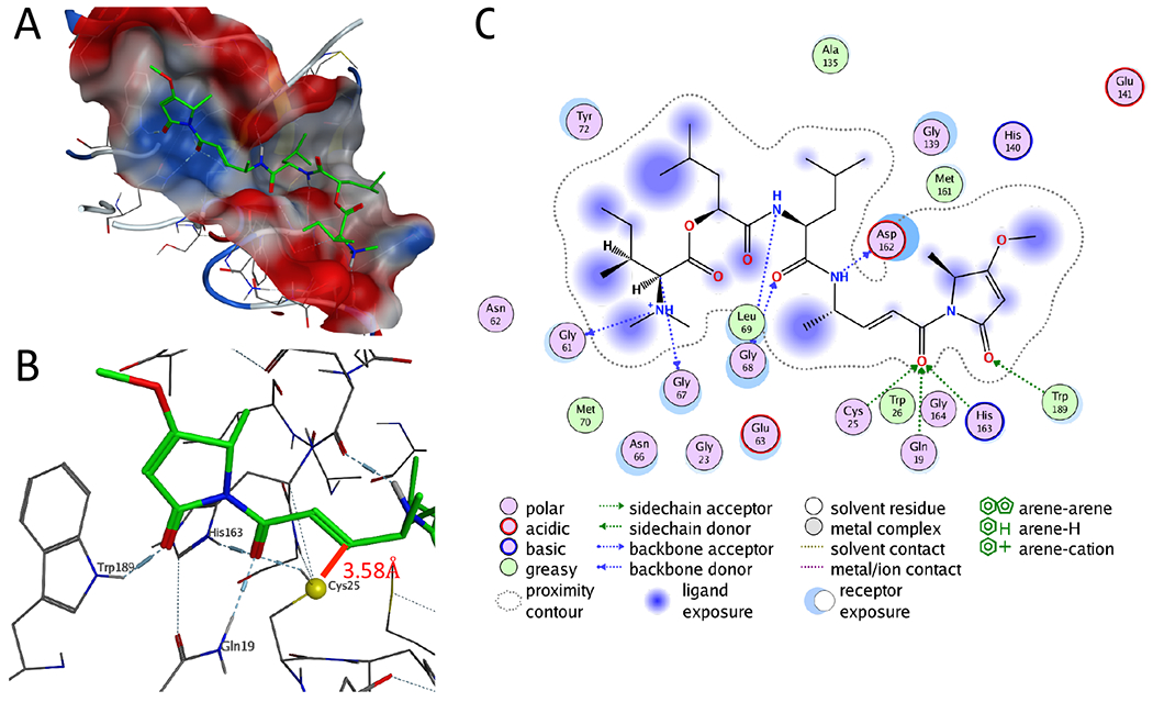 Figure 1: