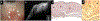 Figure 7: