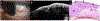 Figure 5: