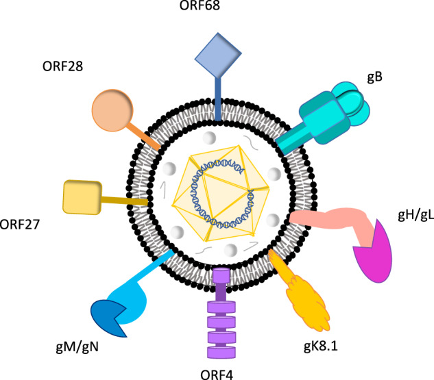 Fig. 3