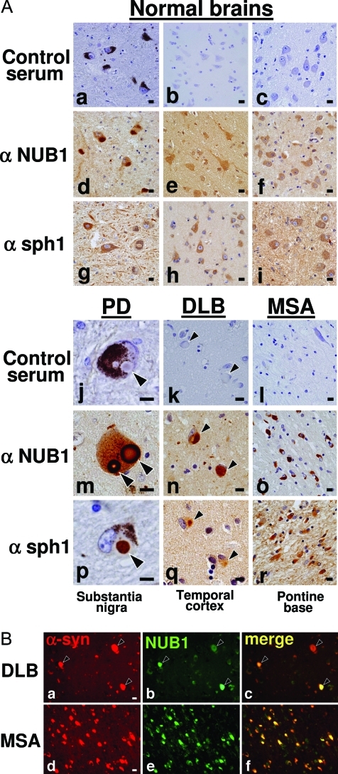 Figure 4-6915