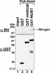 Figure 1-6915