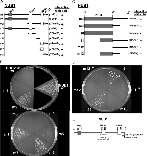 Figure 2-6915