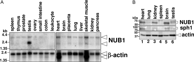 Figure 3-6915