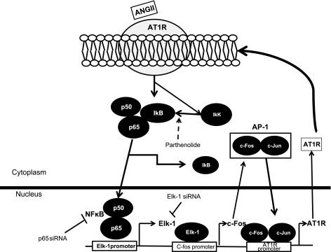 Fig. 7.