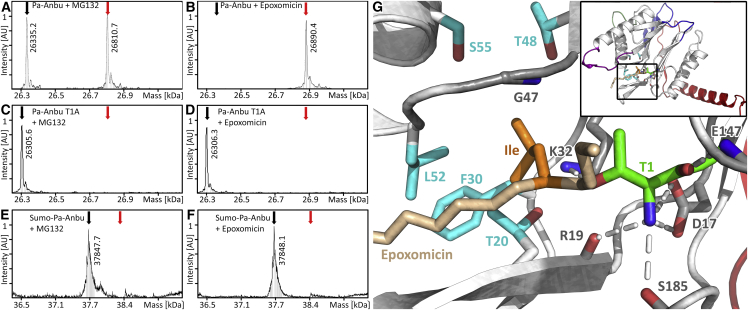 Figure 7