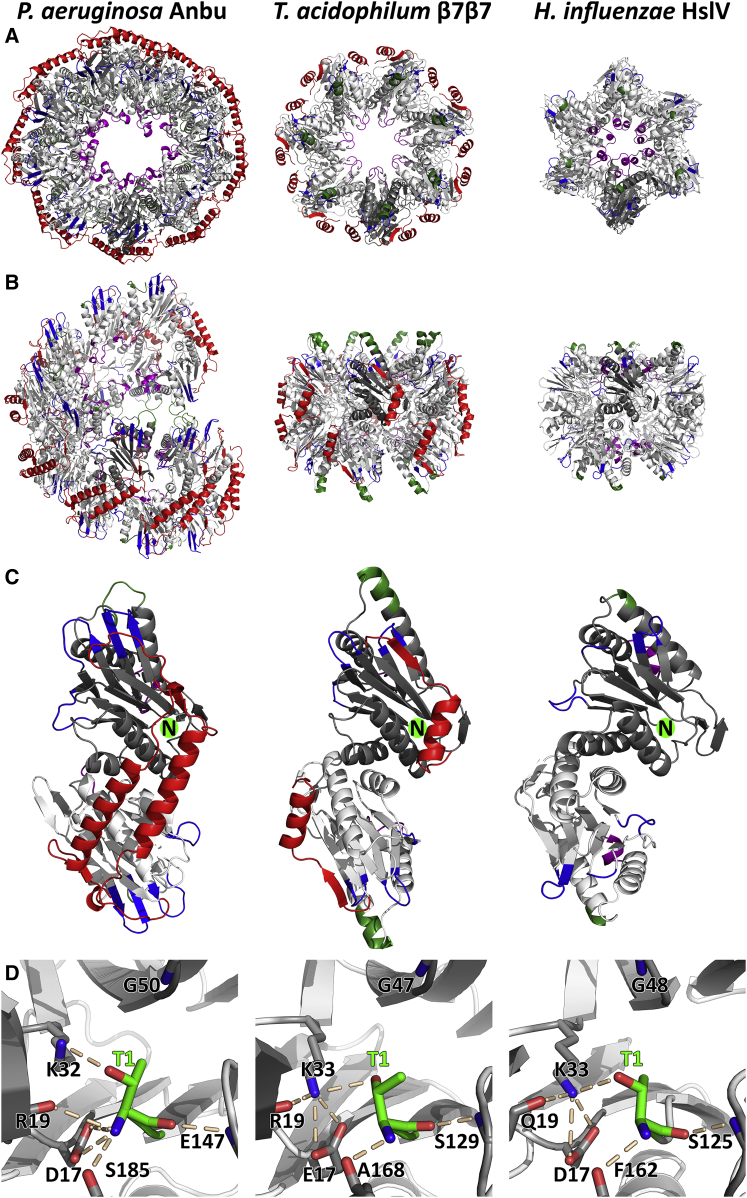 Figure 4