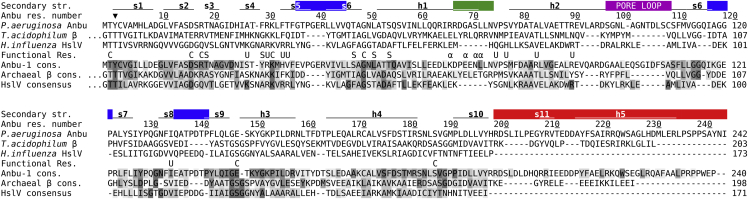 Figure 5