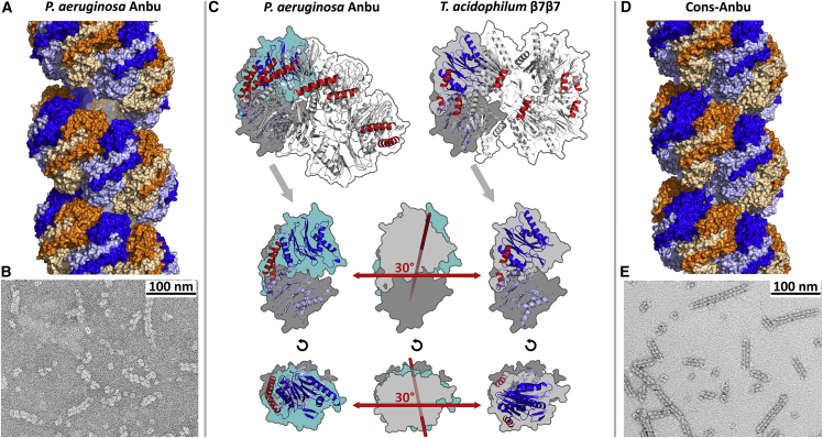 Figure 3