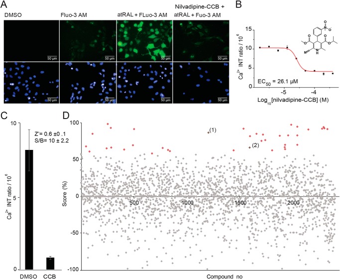 Figure 4.