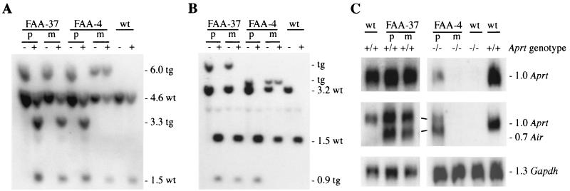 FIG. 5