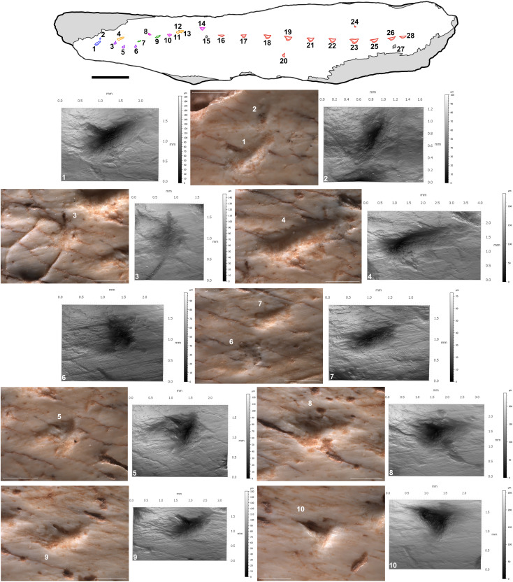 Fig. 4.