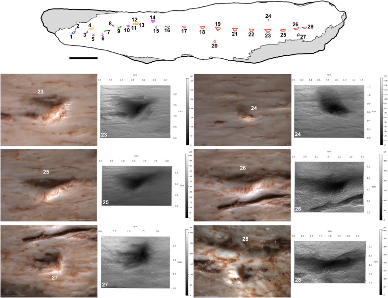 Fig. 6.