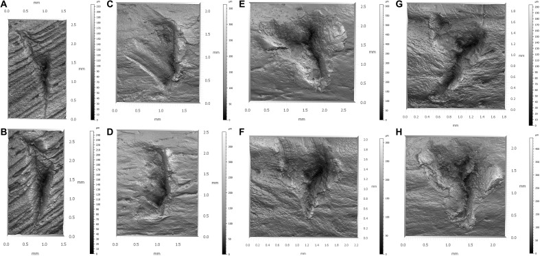 Fig. 8.