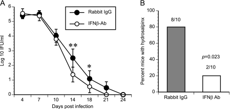 Fig. 8.