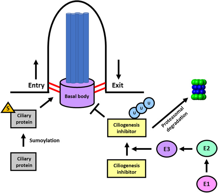 FIGURE 3