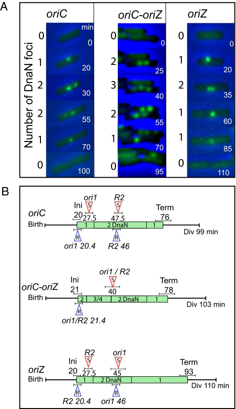 Fig. 3.